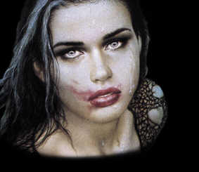 Bild 19 von 20  -  8 kB